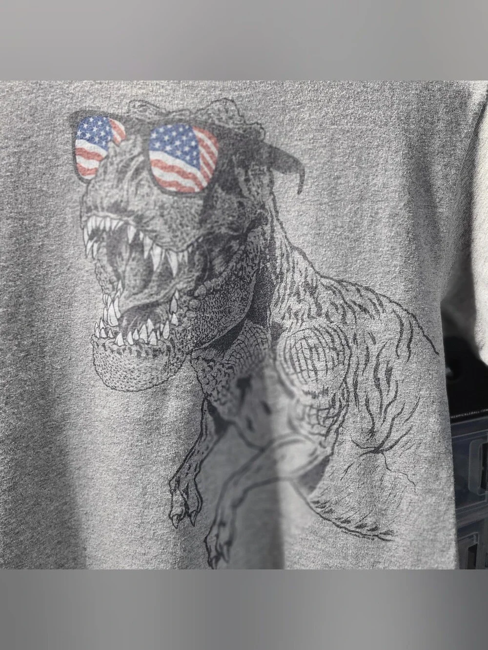 Delta Gray T‑Shirt with T‑Rex Graphic and Flag Sunglasses
